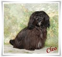 Cleo of
